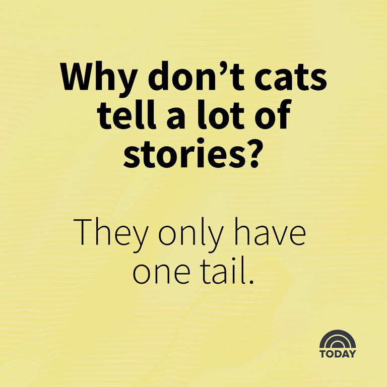 175 bad jokes that are so dumb, you just have to laugh