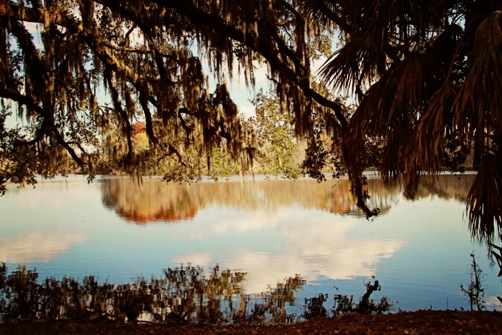 11 Best Swimming Lakes In Florida 2024   BB1h5aHb.img