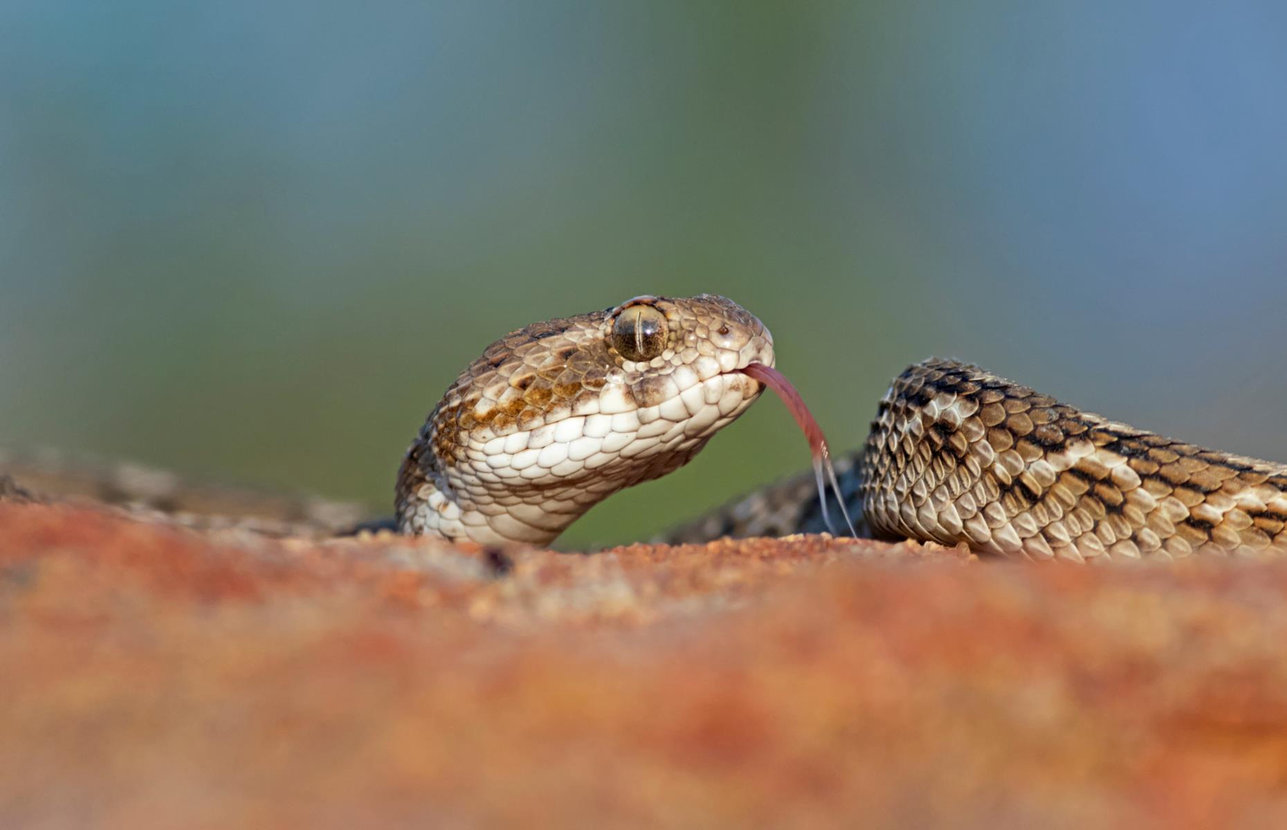 Best KeyboardOnly PC Games