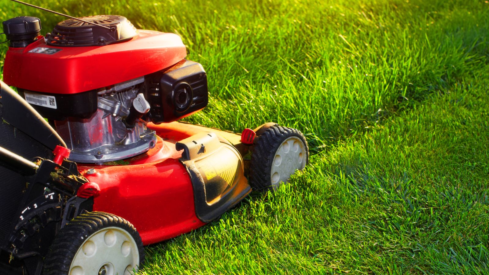 <p><span>Mowing the lawn isn’t just a chore for Boomers; it’s a sacred ritual. Stripes must be even, edges razor-sharp, and the entire process completed with a satisfied nod and the temptation to show off to their neighbors. </span></p>