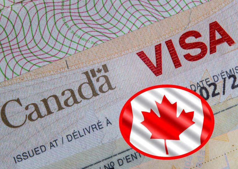 Visa Canadiense Para Mexicanos Cómo Tramitarla Requisitos Y Precio 4535