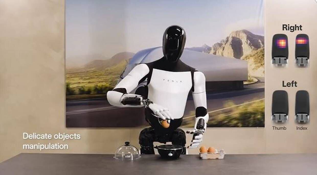 elon musk cree que para 2040 habrá mil millones de robots humanoides en el planeta