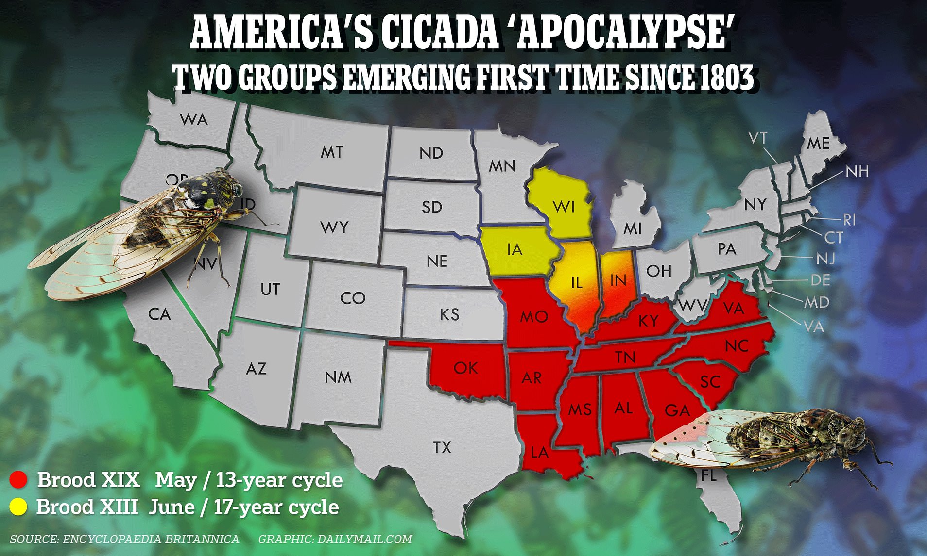 Cicada Apocalypse Of More Than One Trillion Insects Set For US   BB1h5tIj.img