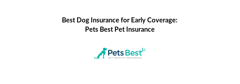 Best Dog Insurance