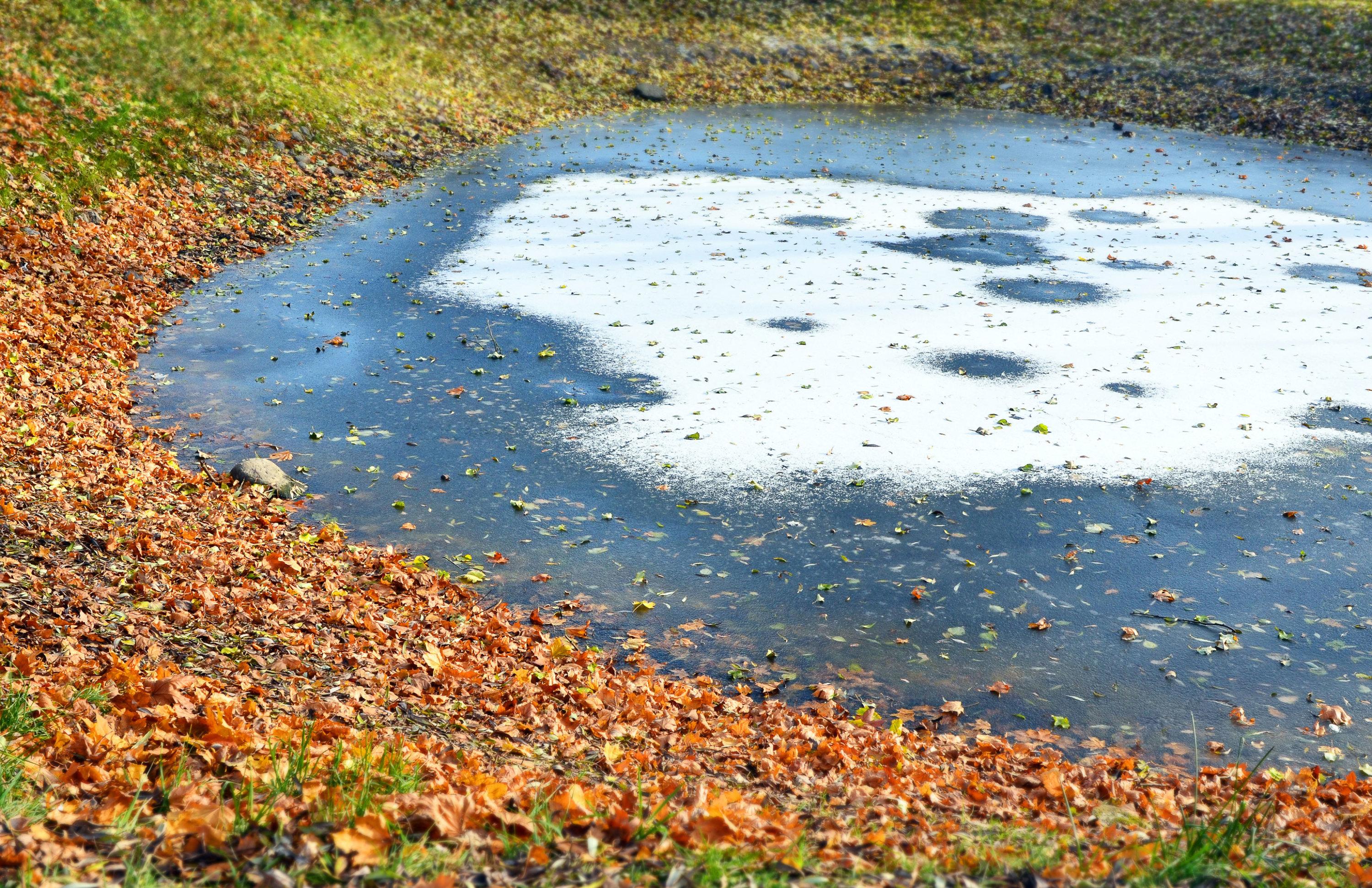 comment protéger du gel votre étang ou votre bassin ?