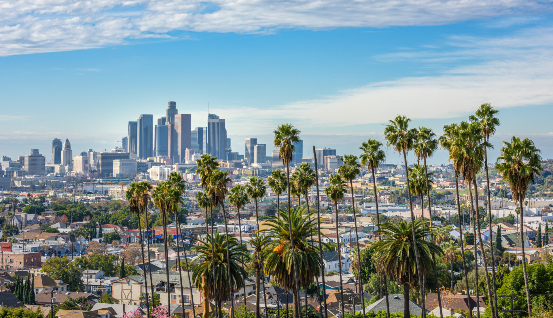 <p>With a rent index of 72.3, Los Angeles epitomizes the blend of entertainment, culture, and business. Known for Hollywood, it's a city where dreams are pursued, albeit at a high cost of living.</p><p><a href="https://www.msn.com/en-in/community/channel/vid-7xx8mnucu55yw63we9va2gwr7uihbxwc68fxqp25x6tg4ftibpra?cvid=94631541bc0f4f89bfd59158d696ad7e">Follow us and access great exclusive content every day</a></p>