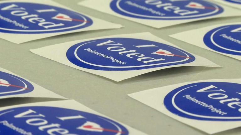 Early voting begins in South Carolina democratic primary: the first in ...