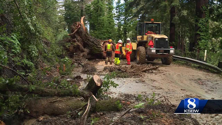 Heavy rain leads to fallen trees mudslides in Santa Cruz Mountains