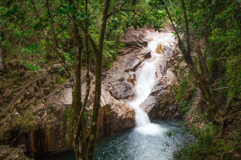 If you’re a nature enthusiast looking for somewhere incredible to explore in Queensland, then look no further than Finch Hatton Gorge. With its lush rainforest, cascading waterfalls, and volcanic boulders, this hidden jungle oasis is …   Guide To Visiting Finch Hatton Gorge, Queensland Read More »