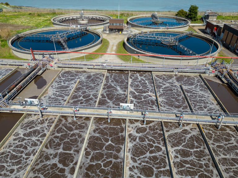 Mogden sewage treatment works: Thames Water announces sewage sludge ...