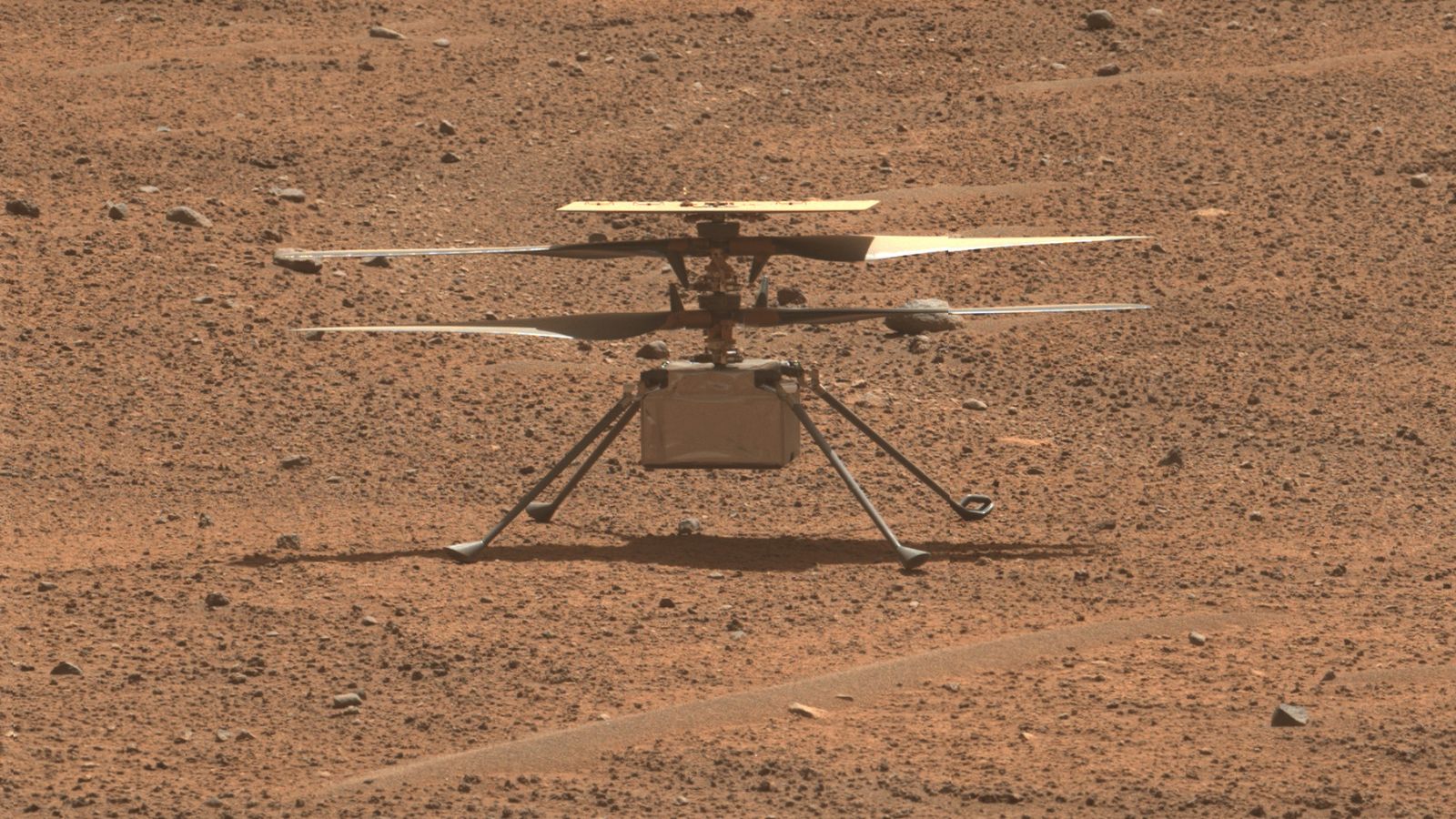 android, road ends for nasa’s ingenuity mars helicopter due to rotor damage