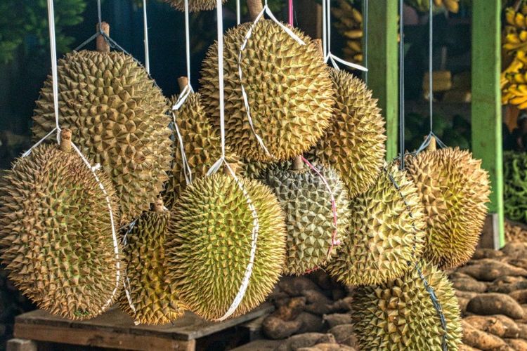 anak balita boleh makan durian, benar atau tidak? begini penjelasannya
