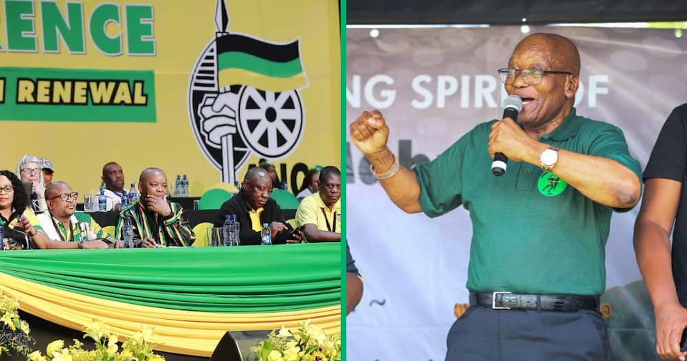 this is what high-ranking members of the anc said about zuma backing the mk party