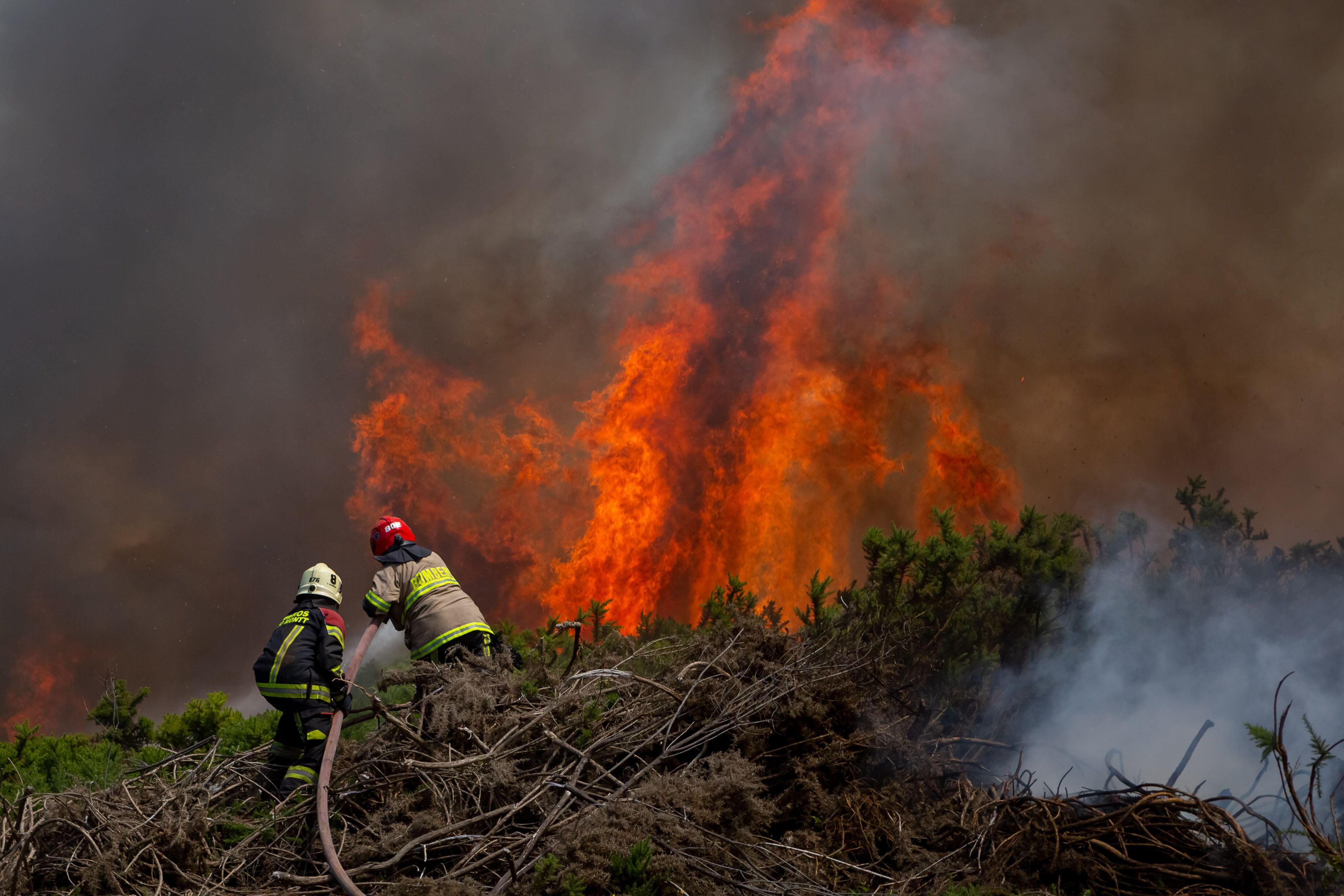 declaran alerta roja en chonchi por incendio forestal: rápido avance de las llamas y cercanía con poblados preocupa a las autoridades