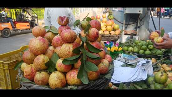 after oman, england and dubai too place orders for ‘allahabadi’ guavas