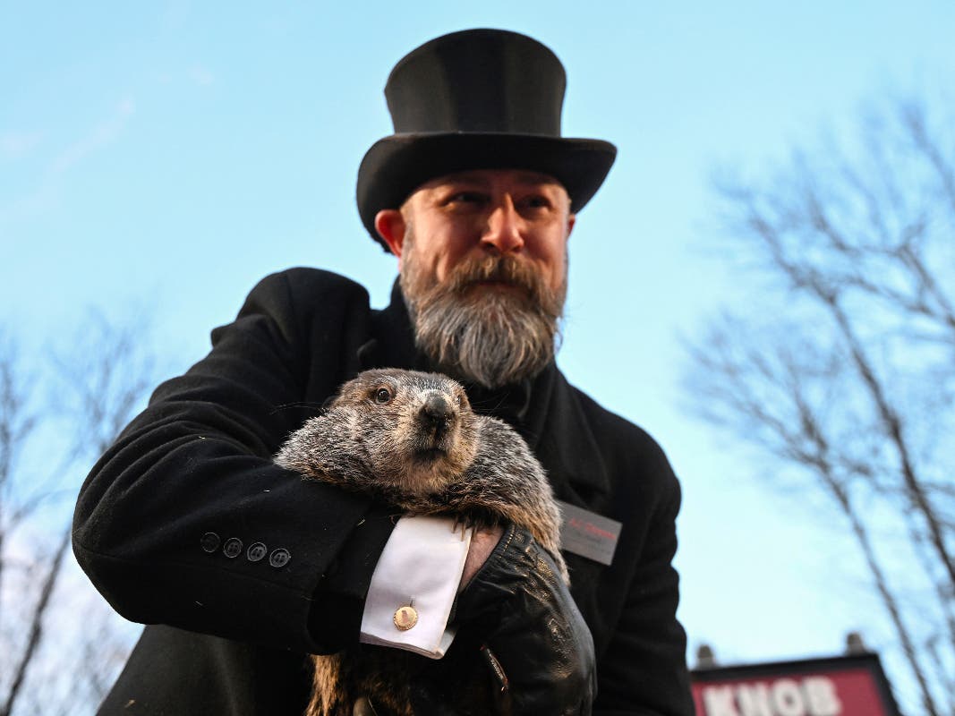 Groundhog Day 2024 Time For Punxsutawney Phil To Retire?