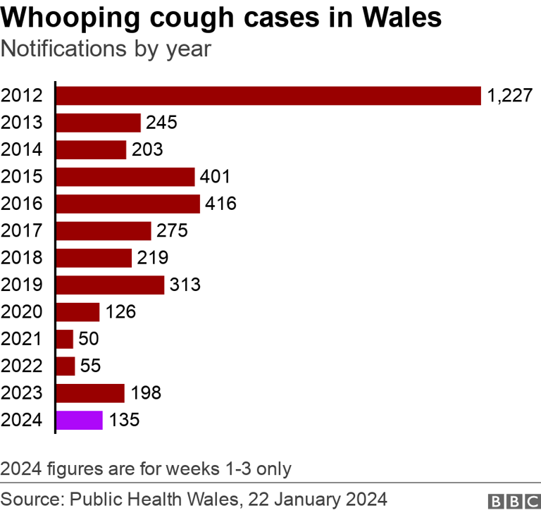 Whooping cough cases show sharp rise