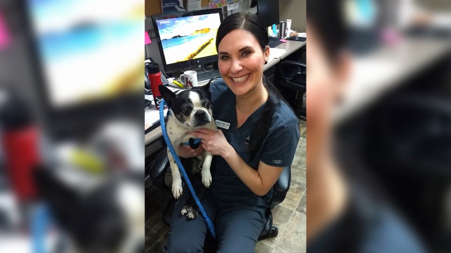 Veterinarian Hired At The Fresno Animal Shelter   BB1h8VFx.img