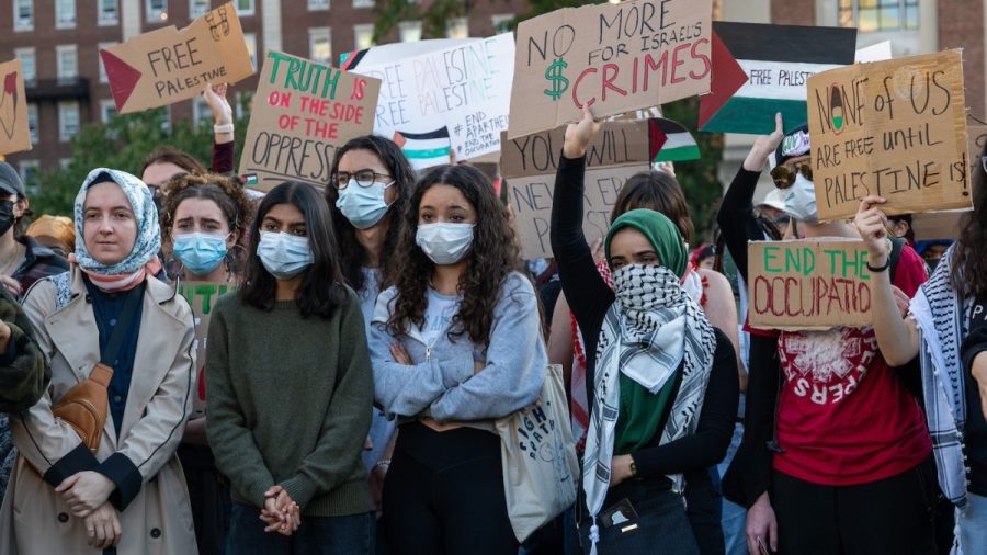 Pro-Palestinian Protesters Say They Were Attacked With Stink Bomb At ...