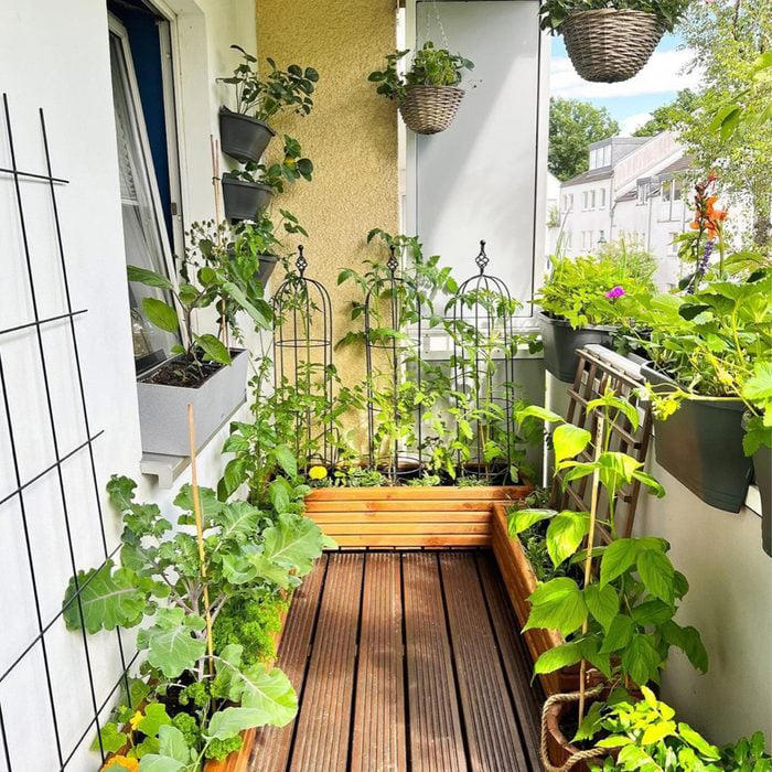 10 Vegetable Garden Design Ideas