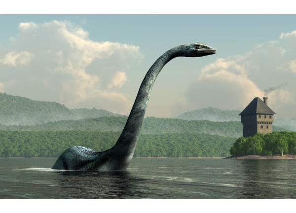 The Hunt for the Loch Ness Monster: Sightings and Theories You Need to Know