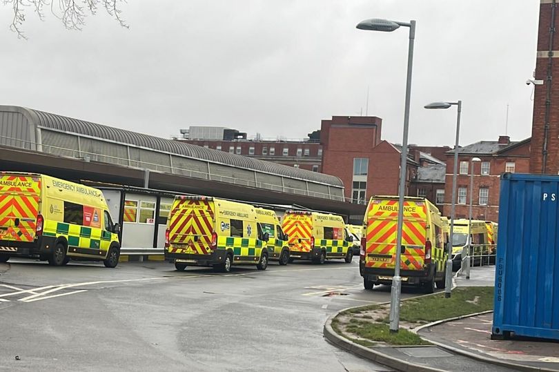 leicester hospitals apologise after 12 hour waits for emergency care