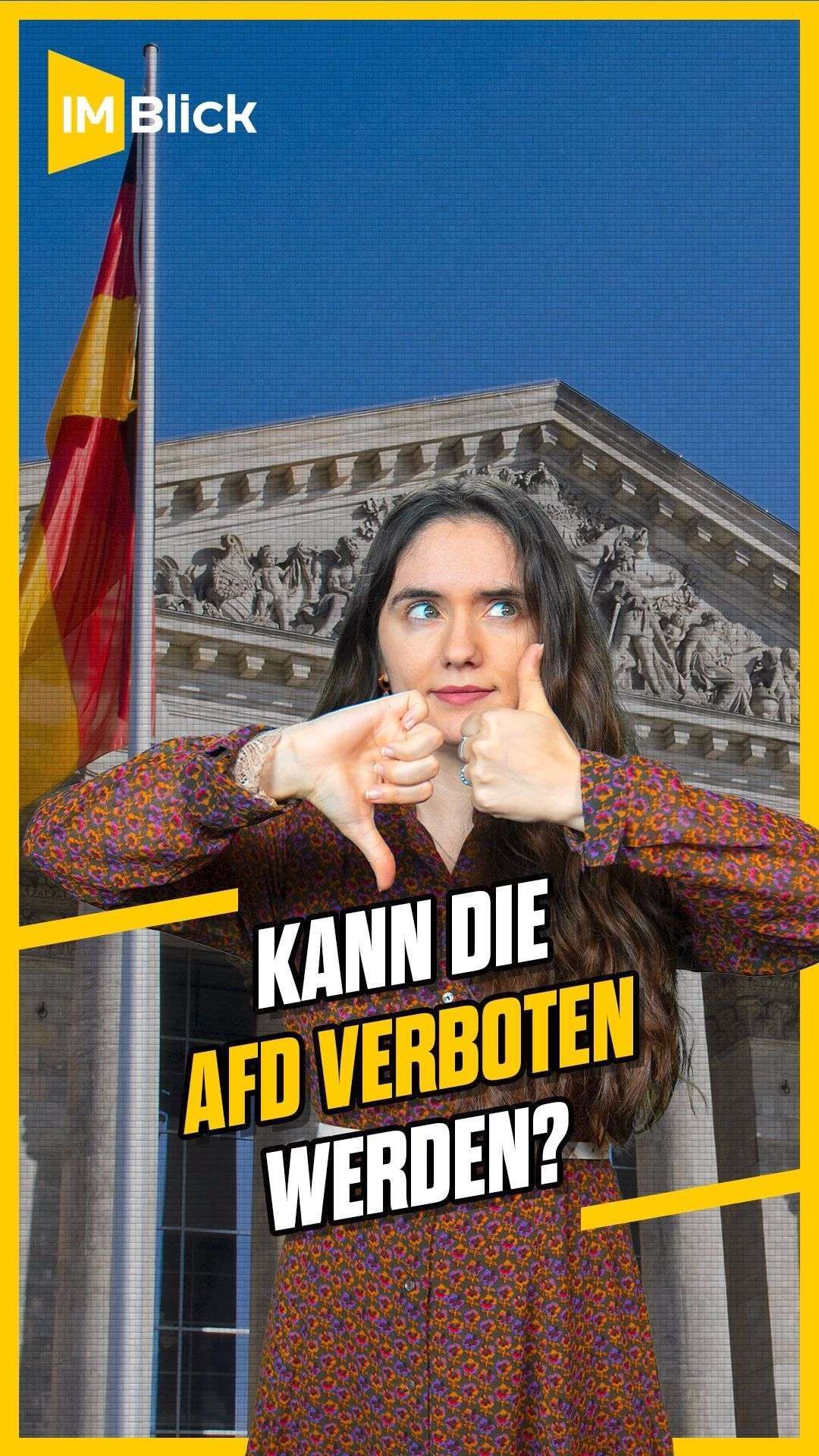 Kann Die AfD Verboten Werden?