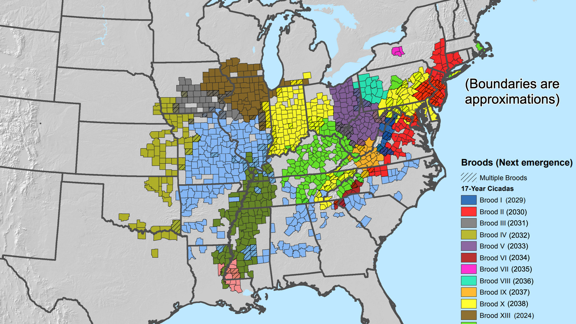 Where billions of cicadas will emerge this spring (and over the next