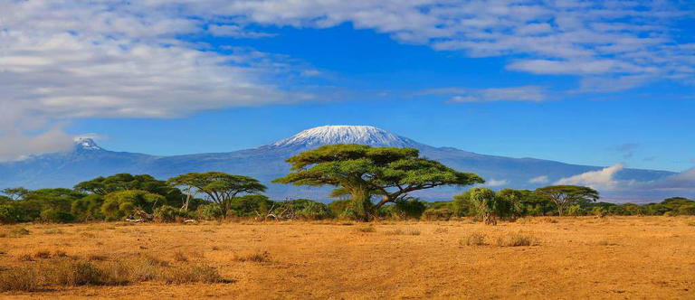 10 Incredible Facts About The Mount Kilimanjaro