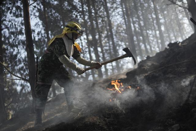 En Vivo Ardua Lucha Contra Las Llamas En Los Cerros De Bogotá 12 Hectáreas Afectadas 6960