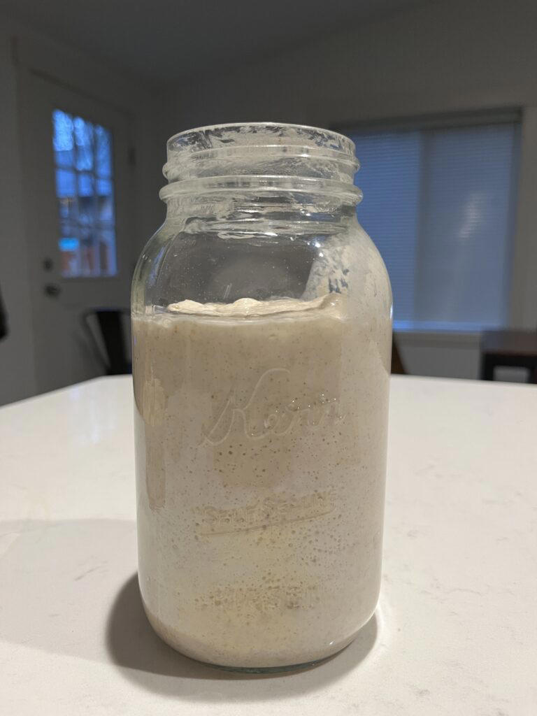 Sourdough Starter FAQs, Tips, and Tricks