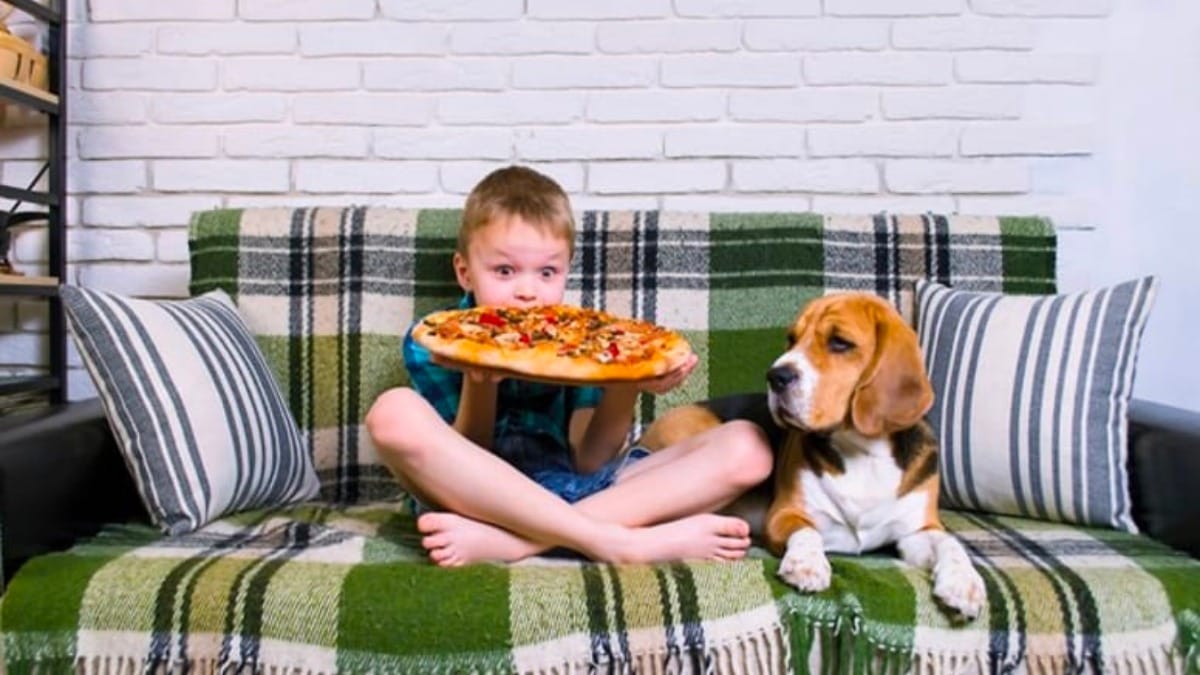 Dürfen Hunde Pizza essen?