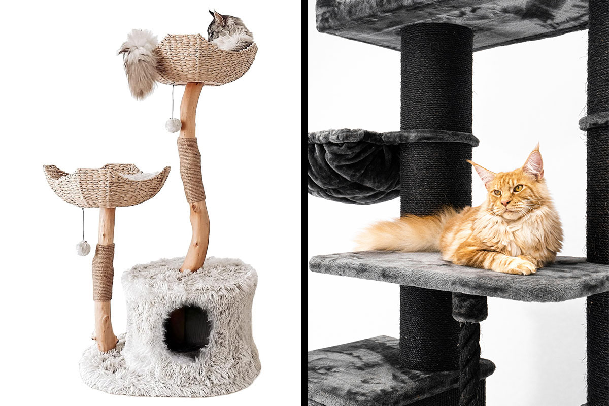 Top 10 Best Cat Trees For Large Cats In 2024 Condos And Towers   BB1hB81C.img