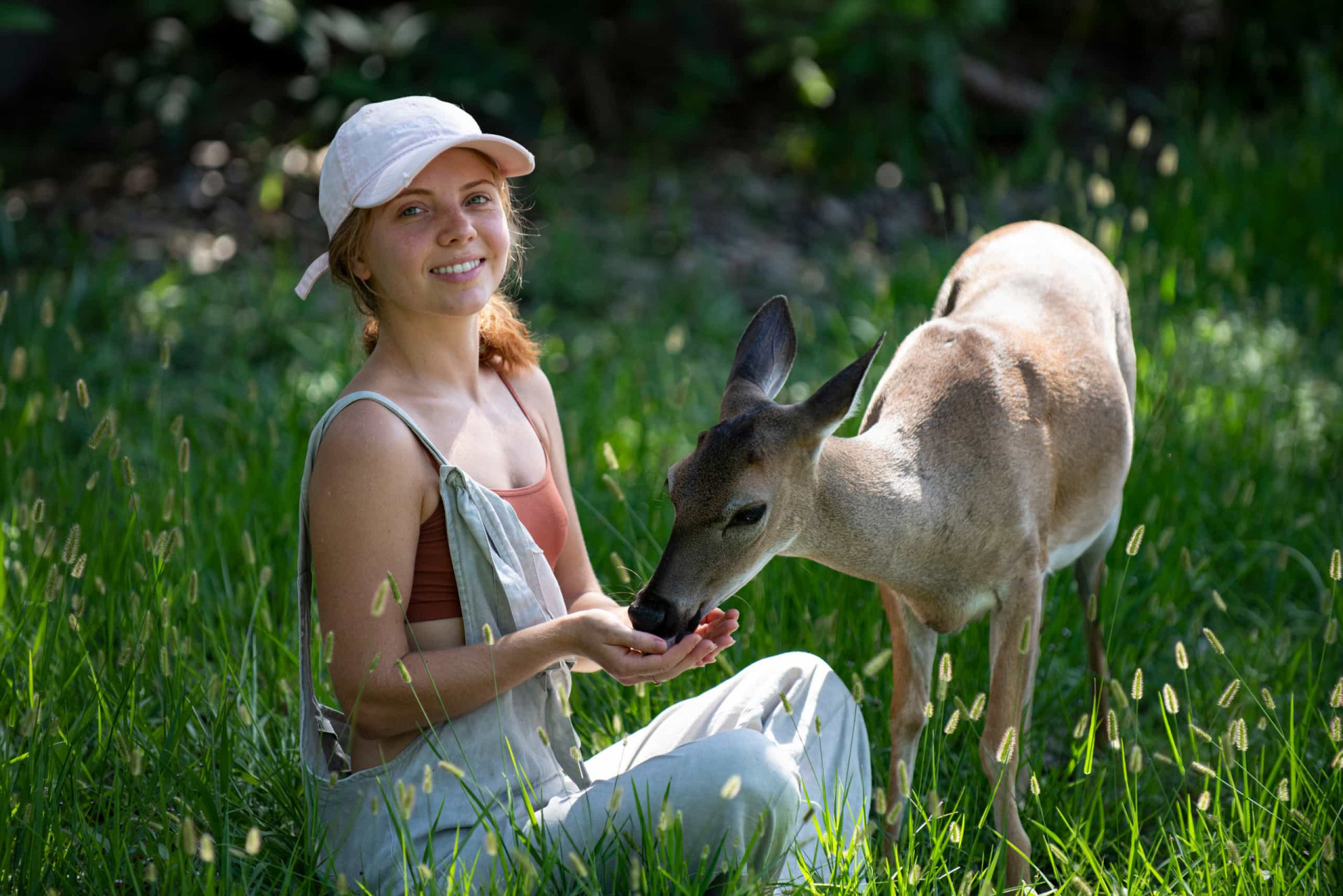 <p>Though it might feel like a nice thing, you should never be feeding wild animals, because not only can it make them aggressive, it's also not good for them. They need to hunt the food that's right for their bodies, and the hunting process is essential to their body and the environment's equilibrium.</p>