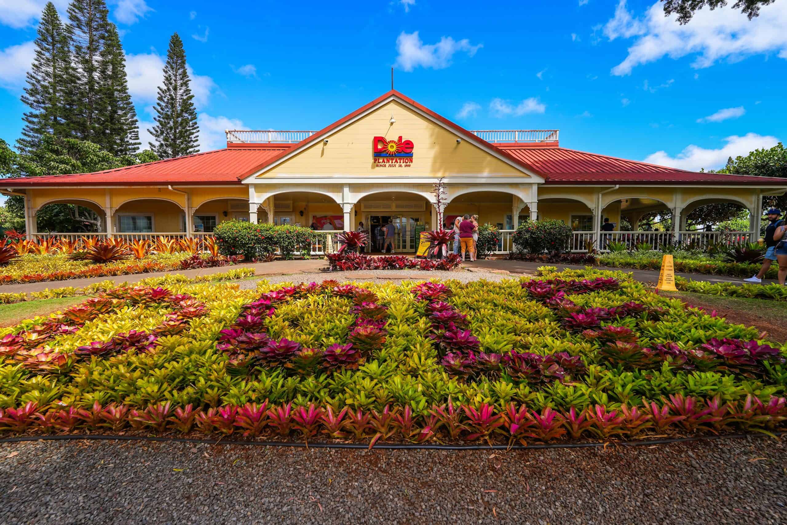 <ul> <li><strong>Location:</strong> Wahiawa, Hawaii</li> </ul> <p>Dole Plantation is one of Oahu's most popular tourist attractions. It celebrates all things pineapple, but in a way that many visitors find a bit expensive and over-the-top.</p> <p>Dole Plantation began as a fruit stand in 1950. Today, it is the self-proclaimed "Pineapple Experience" in Hawaii. Visitors can ride the narrated Pineapple Express Train, tour the Pineapple Garden, wander through the Pineapple Maze, and more.</p> <p>Dole Plantation is often crowded and many guests leave feeling underwhelmed. However, as with most tourist traps, there are some redeeming features. Specifically, the Dole Whip is a delicious treat. Get ready to fork over some cash for it, though. As of this writing, a regular-sized cup of Dole Whip costs $7.50.</p> <p>Agree with this? Hit the Thumbs Up button above. Disagree? Let us know in the comments with what you'd change.</p>