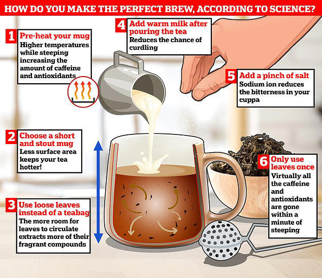 How to make the perfect cuppa: 5 leading scientists reveal their ...