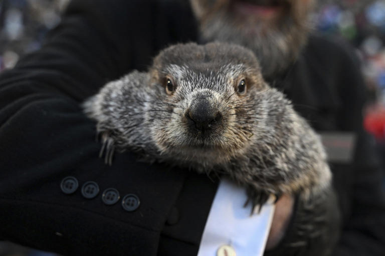 What is Groundhog Day? Meaning of Punxsutawney Phil’s 2024 spring forecast