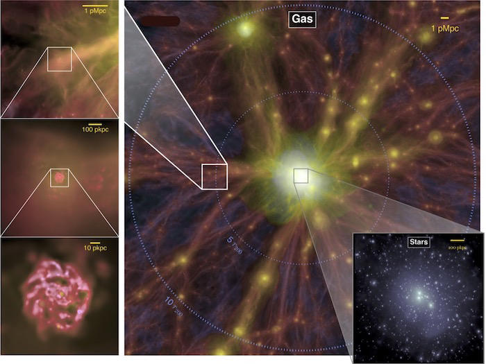 How do galaxies grow while ensnared in the universe's cosmic web?