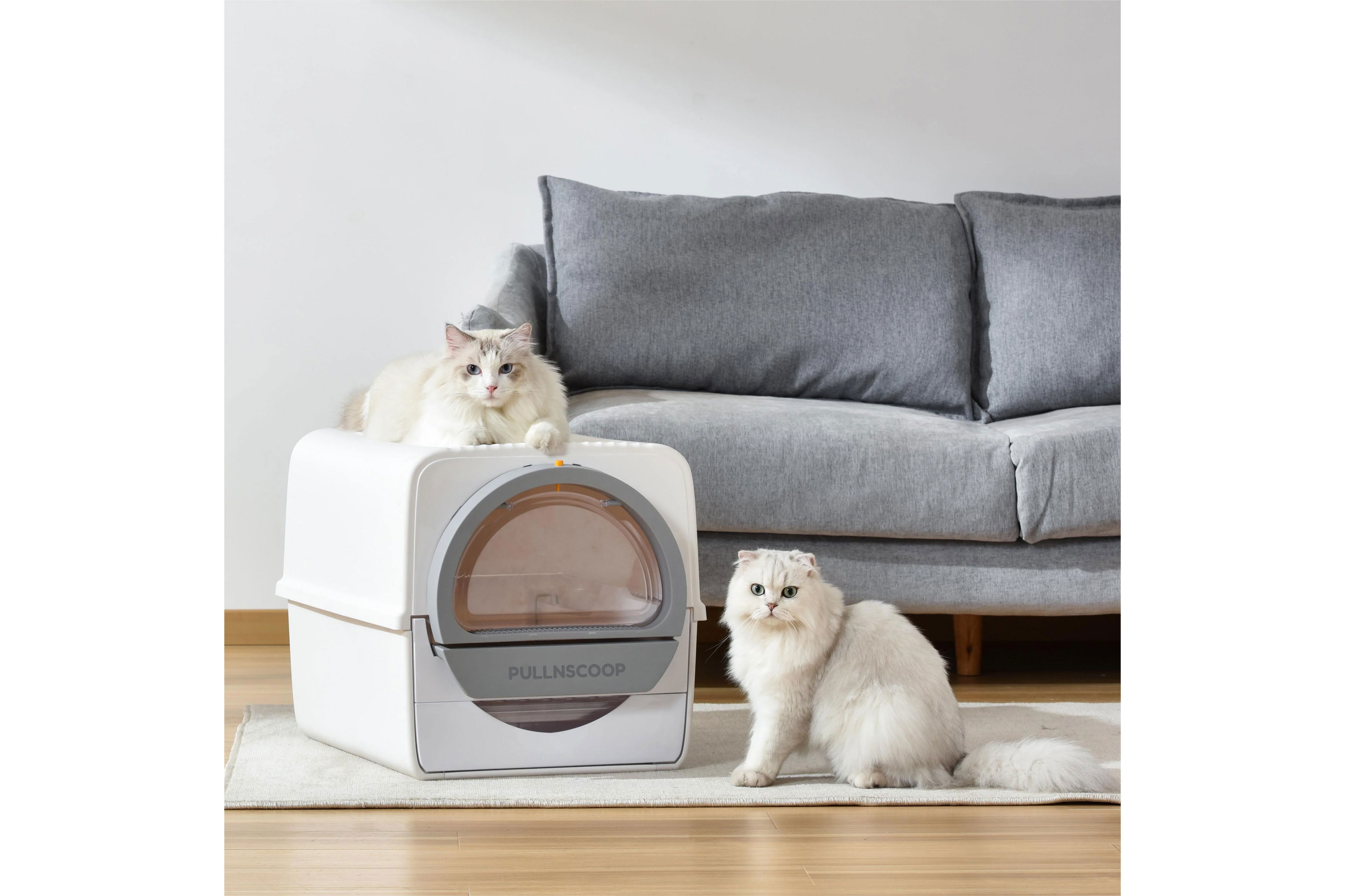 Best Self-cleaning Cat Litter Boxes In 2024, Tried And Tested