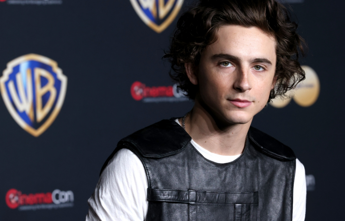 Hollywood's Rising Stars 25 Young Talents Making Waves