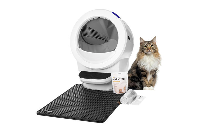 Best selfcleaning cat litter boxes in 2024, tried and tested