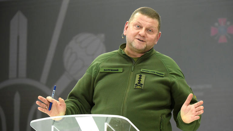 Armeechef Saluschny fordert neues System der Aufrüstung