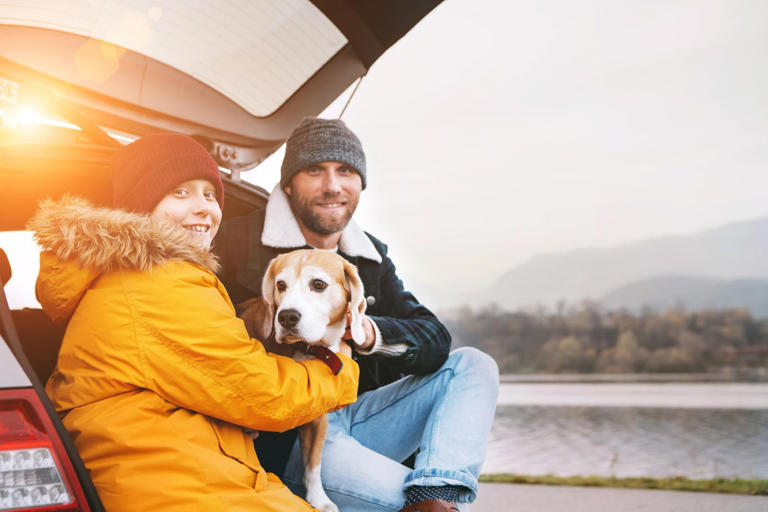 Setting out on a family road trip with your furry friend in tow can amplify the adventure – and the challenge. Your pet isn’t just another passenger; they’re an integral part of the crew, requiring special consideration to ensure the journey is enjoyable for everyone. So, let’s roll out a checklist tailored for safe and […]
