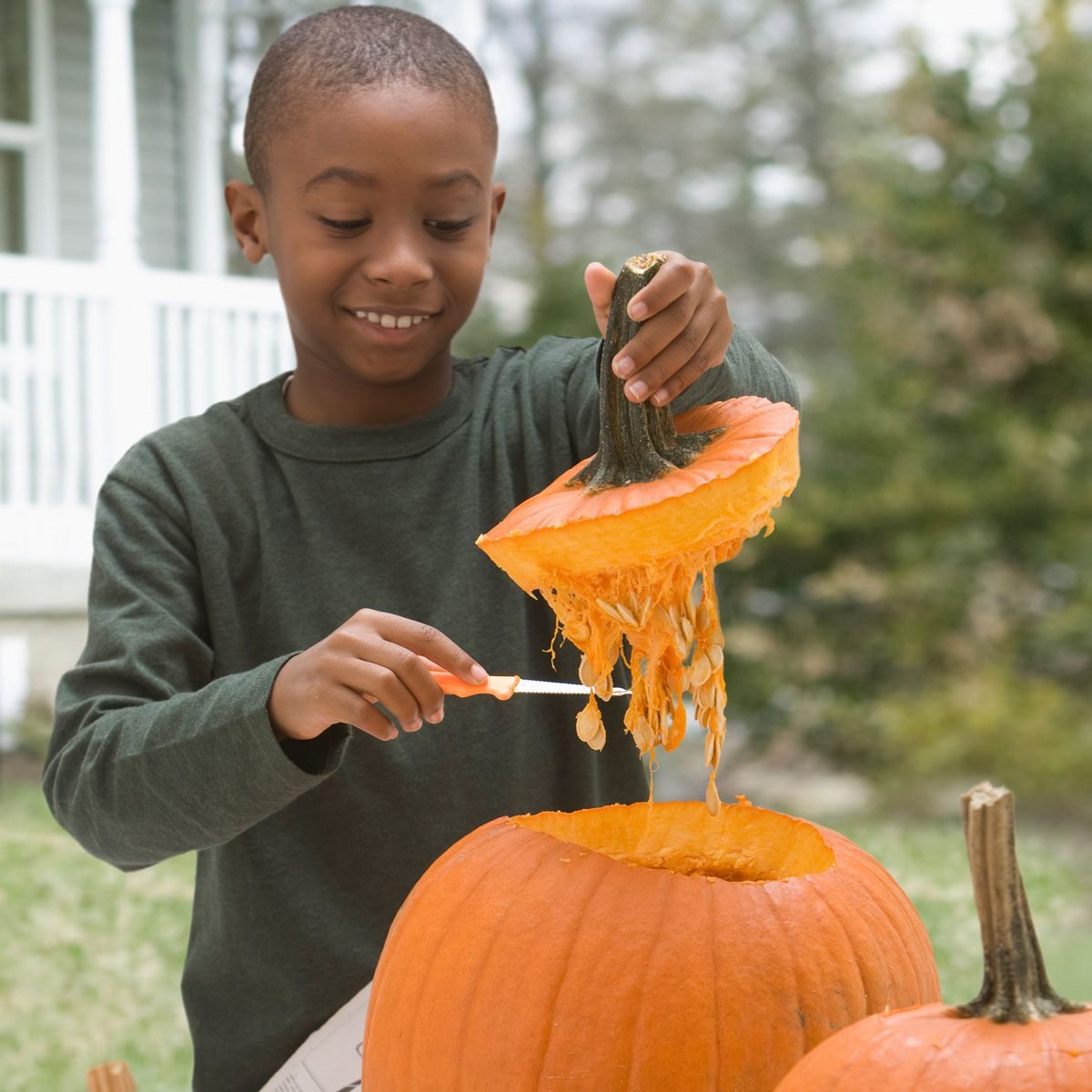 9 Best Pumpkin Carving Kits For 2024   BB1hDzdr.img