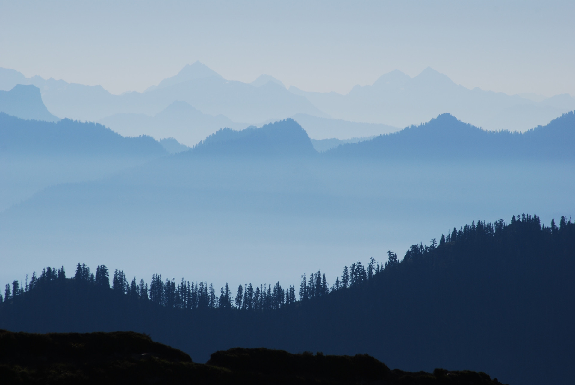 Living with asthma Causes, symptoms and management