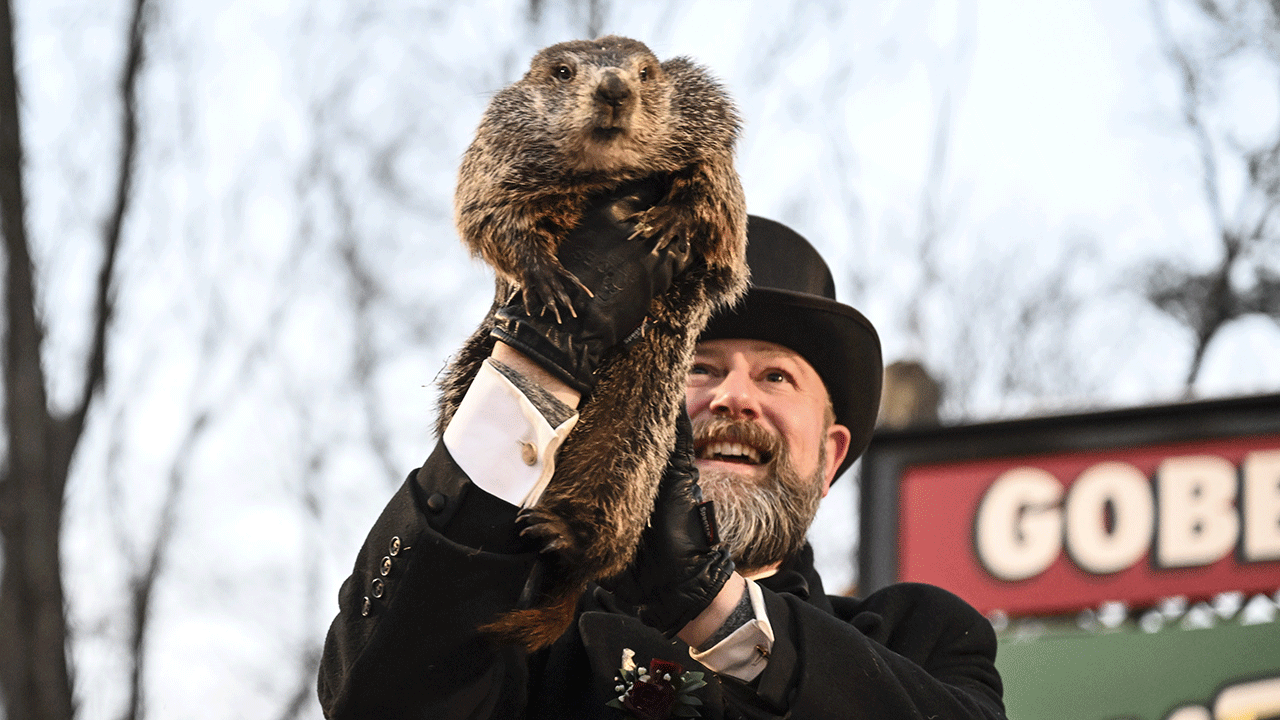 Groundhog Day's History, Meaning And How The Superstitious Tradition ...