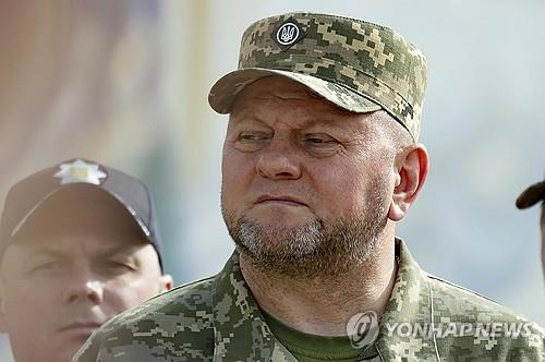 우크라이나 잘루즈니 총사령관