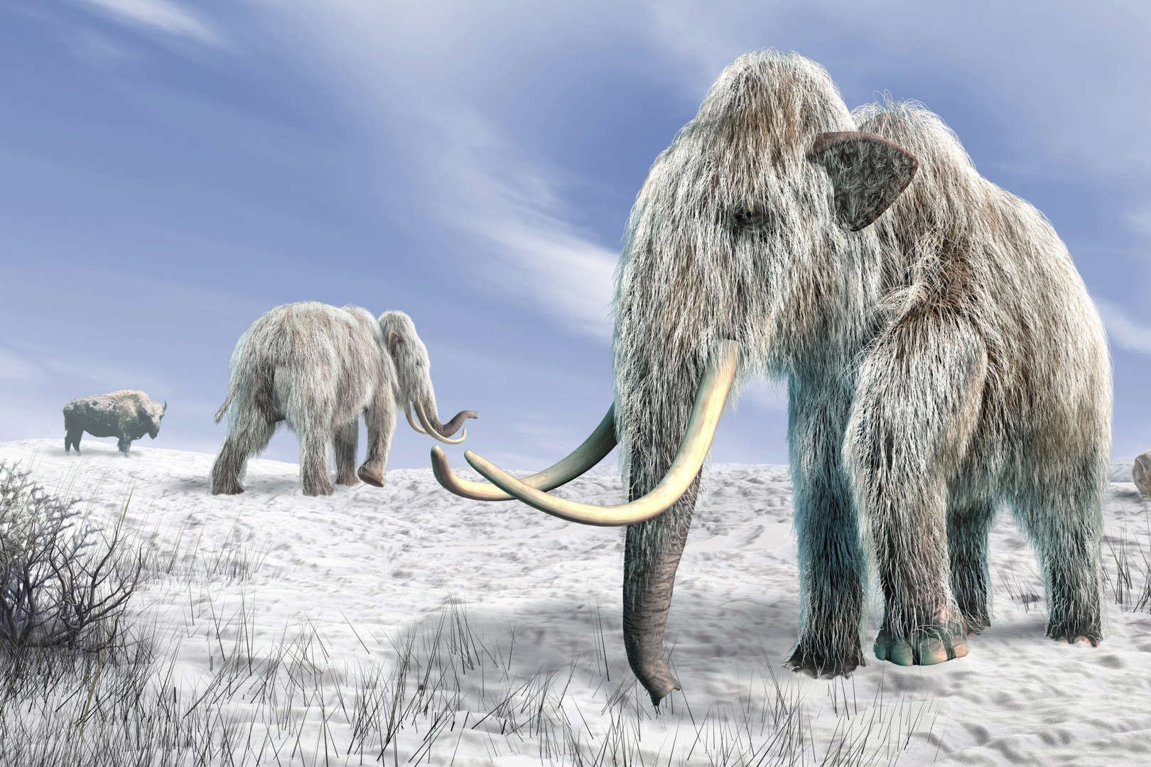Repeupler la Sibérie avec des mammouths