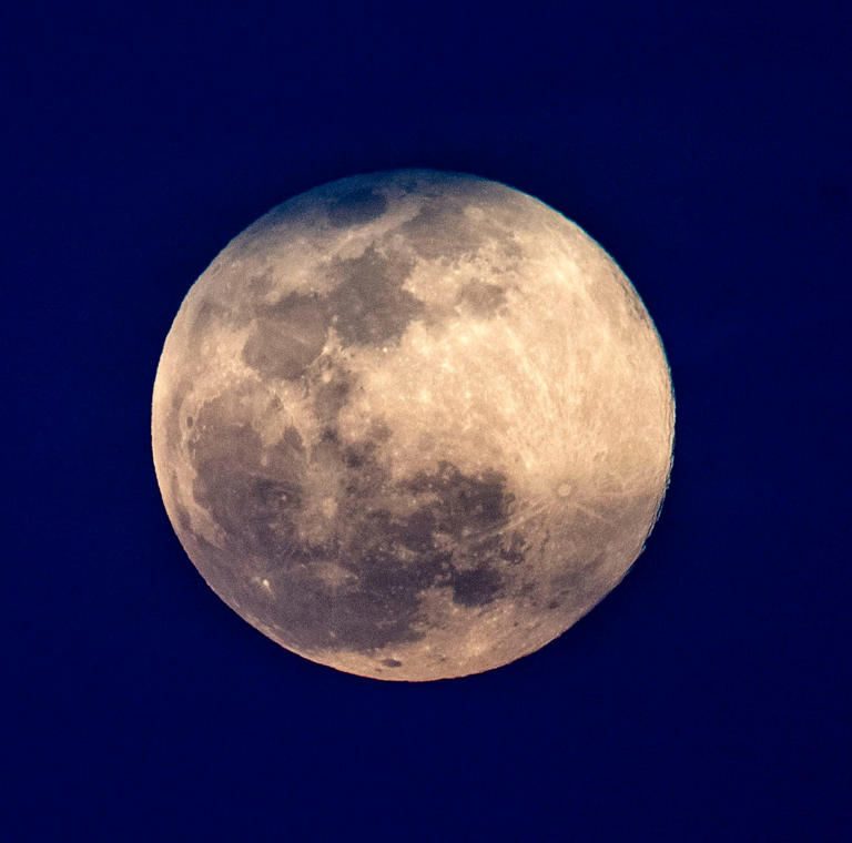 The super pink moon rises over Tallahassee, on April 7, 2020. Join TAS at the Challenger Learning Center on Kleman Plaza, downtown Tallahassee, from 6-9 p.m. Sept. 14, 2024, for the International Observe the Moon Night.