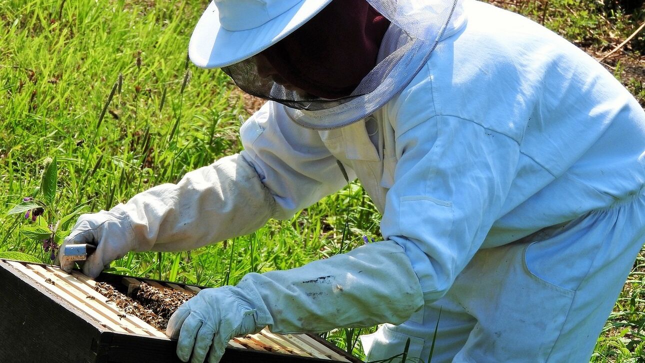 η βουλή δίνει 1.200 κυψέλες σε πληγέντες από τα καιρικά φαινόμενα μελισσοκόμους